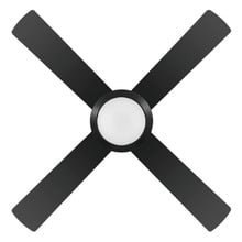 Bondi AC Ceiling Fan with LED